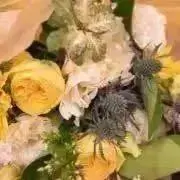 ym24の画像