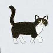 Nicoの画像