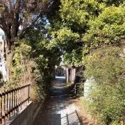 ゆの画像