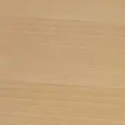 キツツキの画像