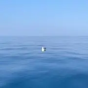 ファースト
