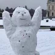 Doikiの画像