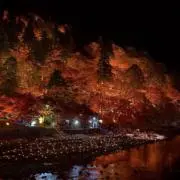 茶々丸の画像