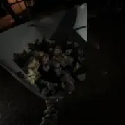 watashihaの画像