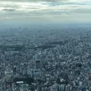 ちゃんたくの画像