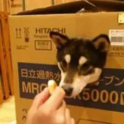 MUTA☆