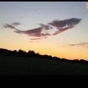 そうぴょん(๑・㉨・๑)の画像