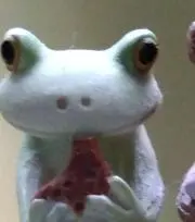 あんずこの画像