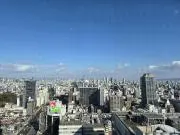 梨花の画像