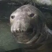 mamaの画像