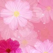 ゆいママ