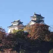 めいちゃん