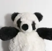 cocoの画像