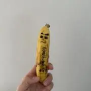 ぽむの画像