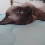 Y︎の画像