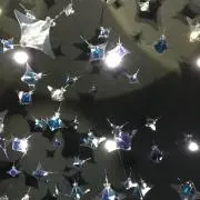 みの画像