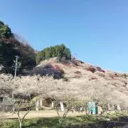 kmkn