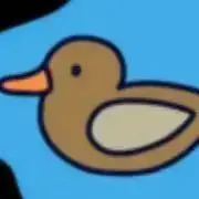 カルガモ（即購入OKです）の画像