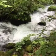 りんごのほっぺの画像