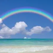夏みかんの画像