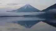 こっしー