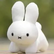 まゆの画像