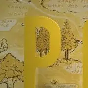 Pの画像