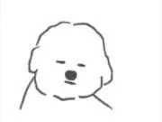 白い犬の道具店【Tino】の画像
