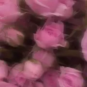 p.の画像
