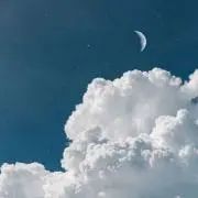 まめだいふくの画像