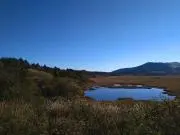 にぃにぃの画像