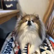 みんの画像