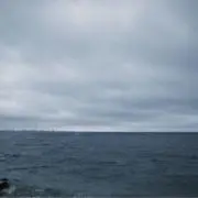 Sの画像