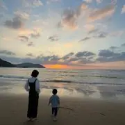 モリヒカルの画像
