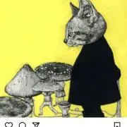 ＊YBO＊の画像
