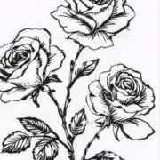AＹL vintageの画像