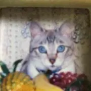 みーちゃん