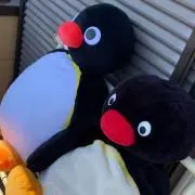 ぺんぎんの画像