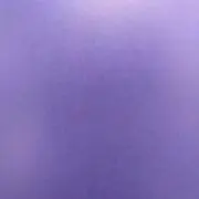 すみれいろの画像