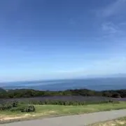 a プロフご確認くださいの画像