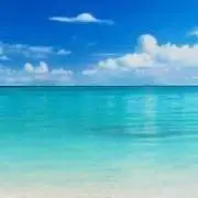 ちうたんの画像