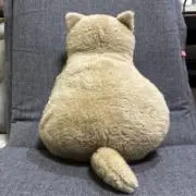 茶太郎の画像