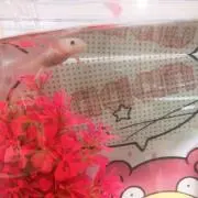 うぱまる