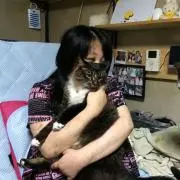 剛