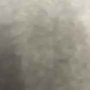 つみきの画像