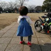 ひまわり