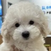 iwonmiの画像