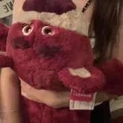 ロッツォの画像