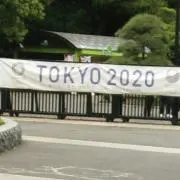 まあさの画像