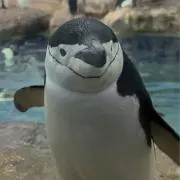 k.mの画像